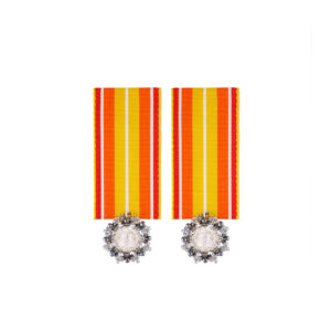 Medallion earrings