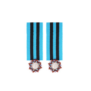 Medallion earrings