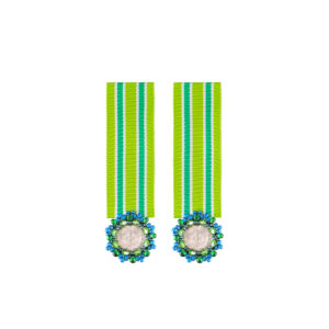 Medallion earrings